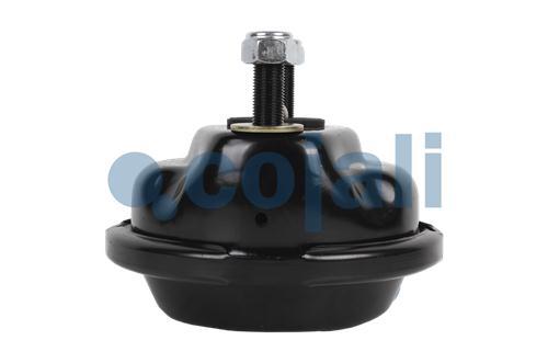 2259604 | II18886 | BRAKE CHAMBER (DISC BRAKE) T-22 - Cojali Parts