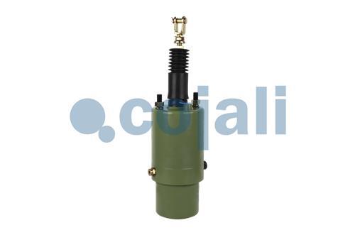 2259240 | BZ6616 | SPRING CHAMBER 125 - Cojali Parts