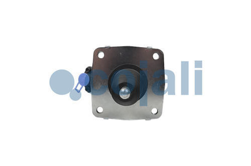 2550218 | 1000396262AM | CLUTCH SERVO - Cojali Parts