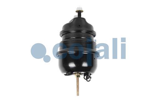 2851120 | 41229067 | DOUBLE DIAPHRAGM SPRING BRAKE (DISC BRAKE) 20 