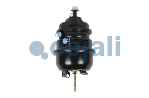 2851120 | 41229067 | DOUBLE DIAPHRAGM SPRING BRAKE (DISC BRAKE) 20