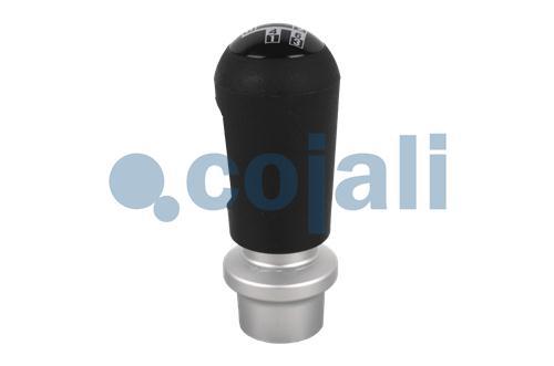 2880176 | 1482995 | GEARBOX KNOB - Cojali Parts