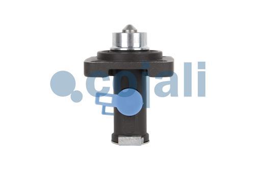 2880239 | 1068952 | GEARBOX VALVE - Cojali Parts