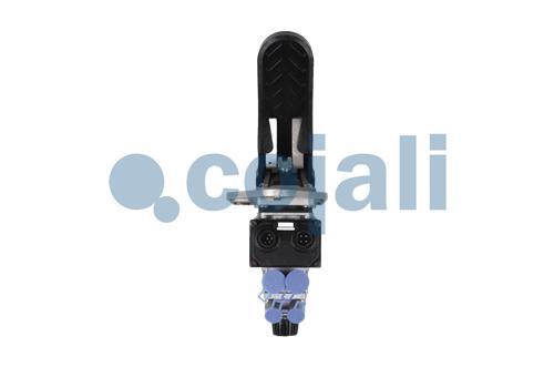 352592 | 4800020210 | BRAKING SIGNAL TRANSMITTER REMAN - Cojali Parts