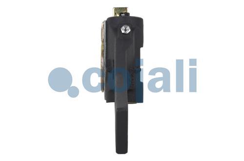 PALANCA AUTOMATICA, 4232113, 80020S