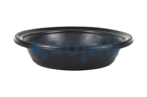 6001115 | 8971205254 | 20 