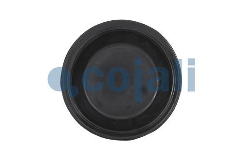 6001115 | 8971205254 | 20 