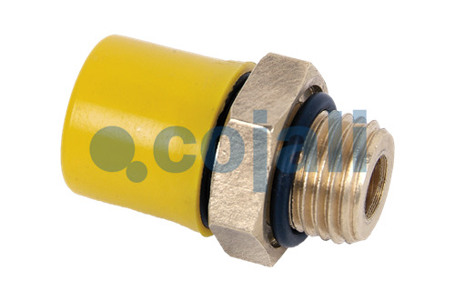 CONNEXION PNEUMATIQUE, 6002126, 8901595904