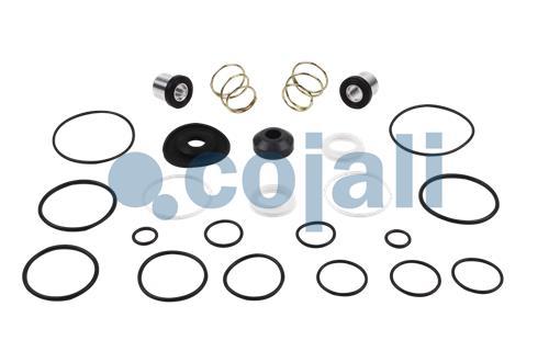 6012011 | 4613190022 | VALVE REPAIR KIT - Cojali Parts