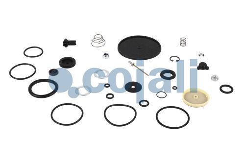 6012205 | 432415XXX2 | VALVE REPAIR KIT - Cojali Parts