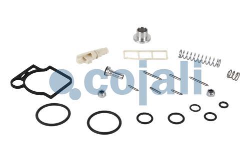 6012241 | 9617230002 | VALVE REPAIR KIT - Cojali Parts