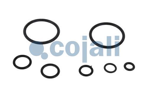 6012241 | 9617230002 | VALVE REPAIR KIT - Cojali Parts