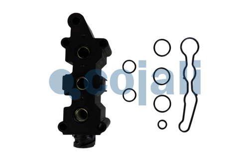 6012261 | 4729009282 | VALVE REPAIR KIT - Cojali Parts
