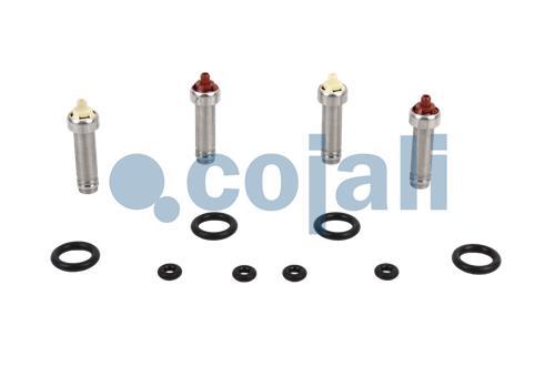 6012307 | NO OEM | VALVE REPAIR KIT - Cojali Parts