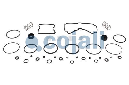 6014038 | NO OEM | VALVE REPAIR KIT - Cojali Parts