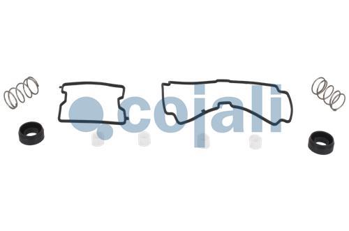 6014038 | NO OEM | VALVE REPAIR KIT - Cojali Parts