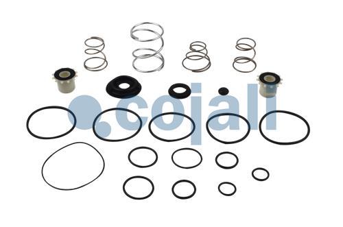 6014135 | I99719008 | VALVE REPAIR KIT - Cojali Parts