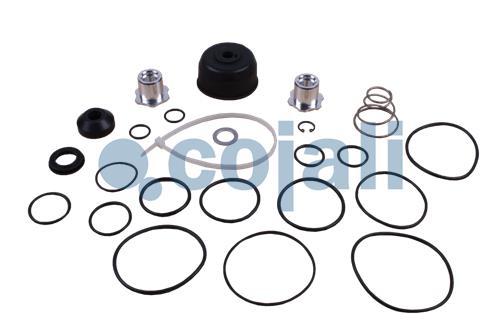 6014138 | I90694 | VALVE REPAIR KIT - Cojali Parts