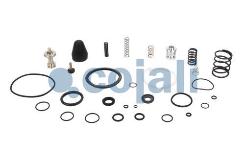 6014148 | I87640008*X | VALVE REPAIR KIT - Cojali Parts