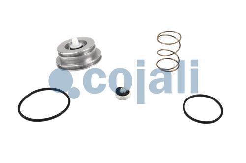 6014195 | I77510 | VALVE REPAIR KIT - Cojali Parts