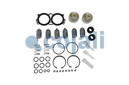 6014255 | NO OEM | VALVE REPAIR KIT - Cojali Parts 