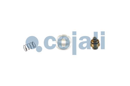 6014463 | 076645704000 | VENTIL-REPARATURKIT - Cojali Parts
