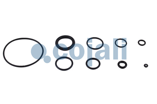 6034007 | II31733008 | CLUTCH SERVO REPAIR KIT - Cojali Parts 