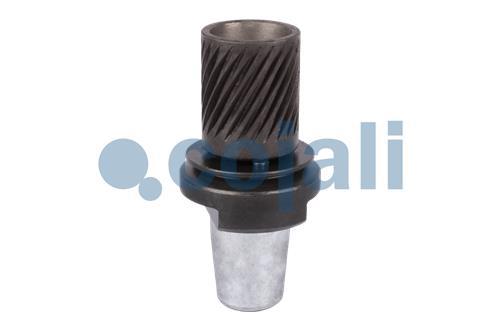 6071001 | 68192566 | Р/К БАРАБАННОГО ТОРМОЗНОГО МЕХАНИЗМА - Cojali Parts